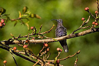 开年两周时间 《逃离塔科夫》已封禁超过万名作弊者